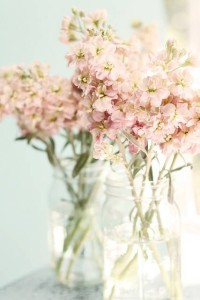 blog flower mason jars